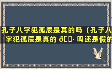 孔子八字犯孤辰是真的吗（孔子八字犯孤辰是真的 🌷 吗还是假的）